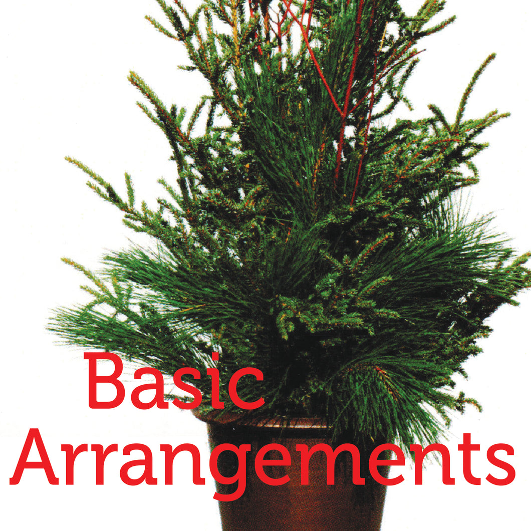 b. Outdoor Winter Arrangements-BASIC--PREORDER by OCT 30th, 2022